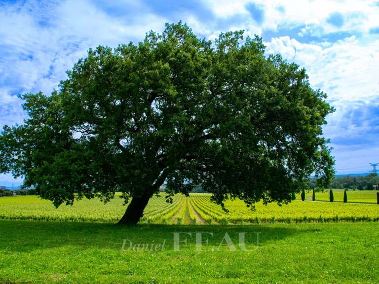 Domaine viticole Laudun-l'Ardoise - 10 chambres - 2766m²