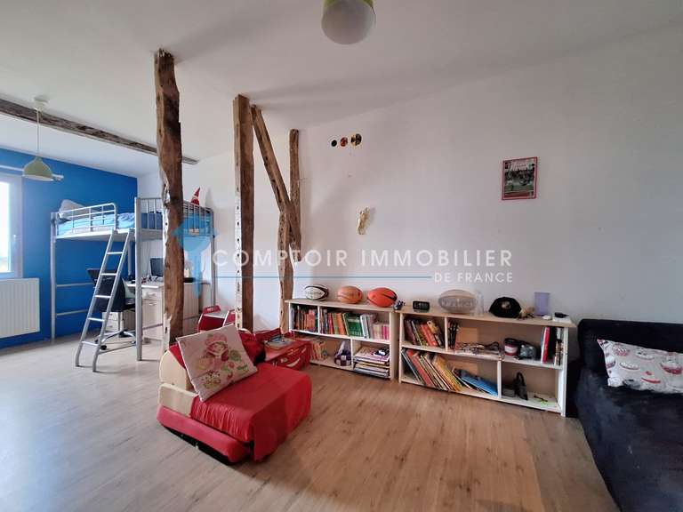 Maison Lautrec - 7 chambres - 431m²