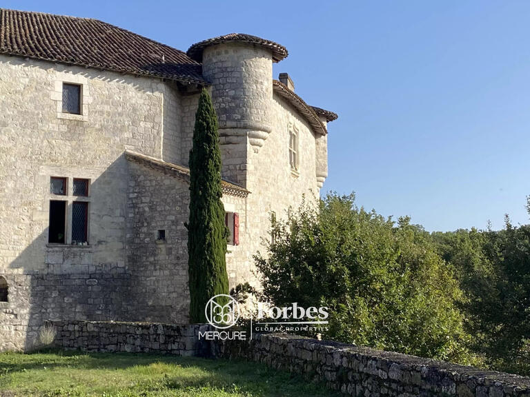 Château Lauzerte - 4 chambres - 1000m²