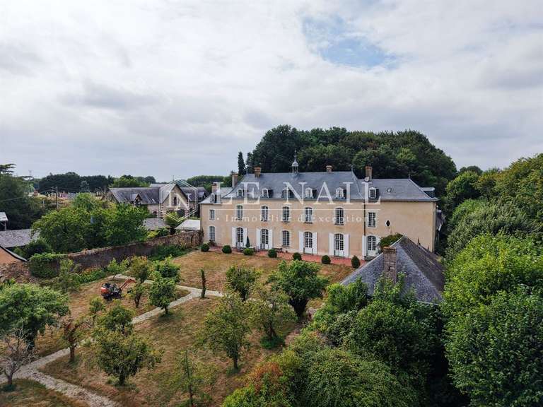 Castle Laval - 9 bedrooms - 580m²