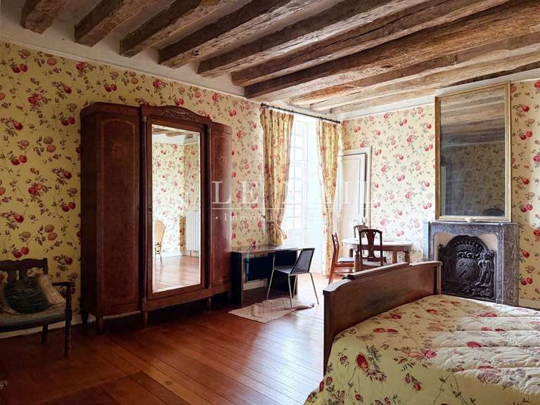 Castle Laval - 9 bedrooms - 580m²