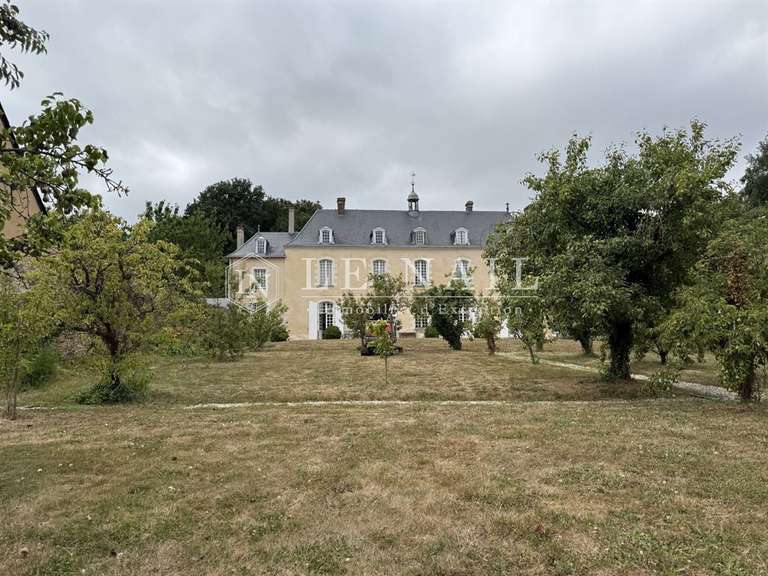 Castle Laval - 9 bedrooms - 580m²