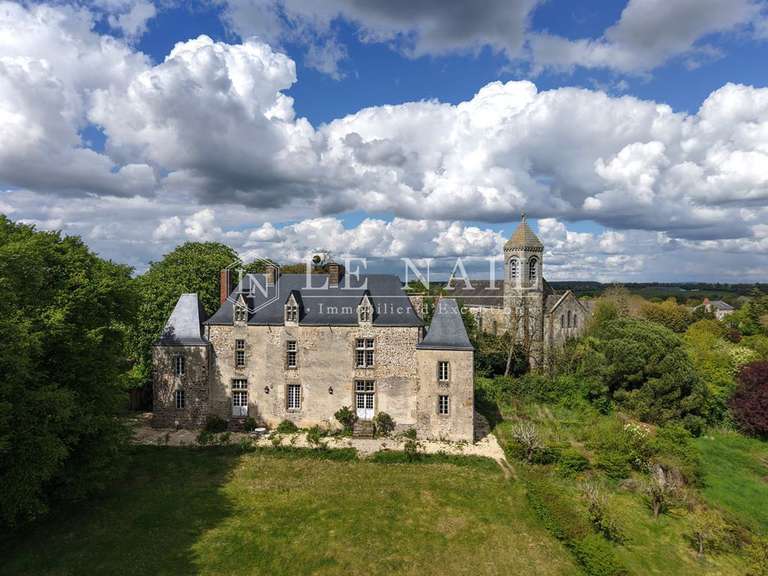 Castle Laval - 5 bedrooms - 320m²