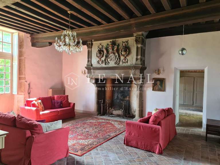 Castle Laval - 5 bedrooms - 320m²