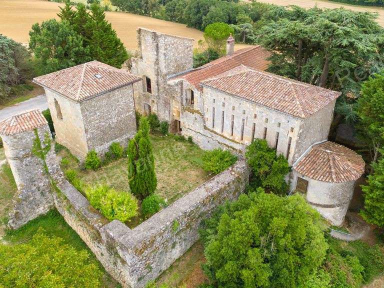 Château Lavaur - 5 chambres - 400m²