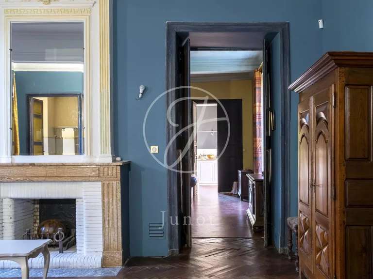 Château Lavaur - 4 chambres - 316m²