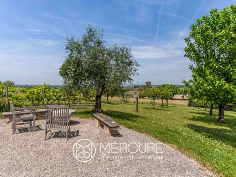 Maison Lavaur - 5 chambres - 280m²