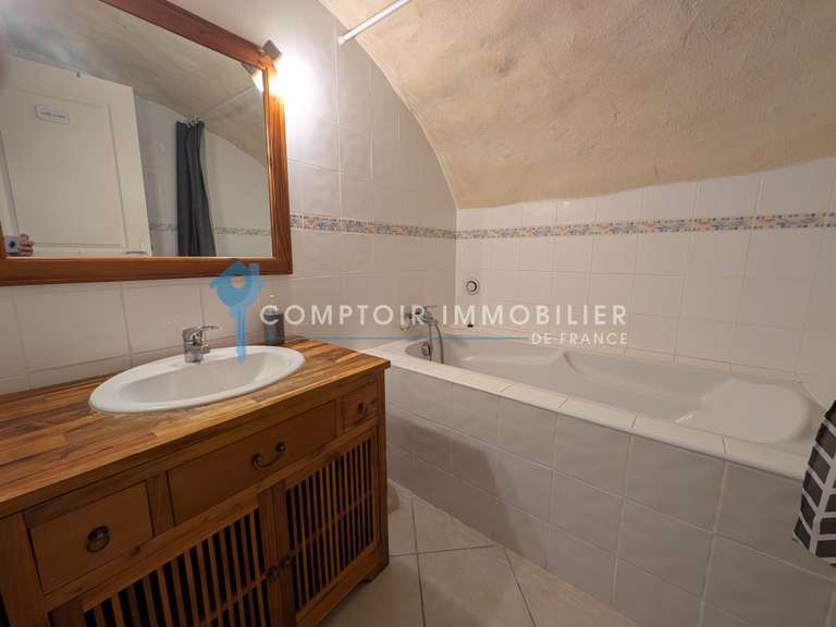 Maison Lavilledieu - 15 chambres - 530m²