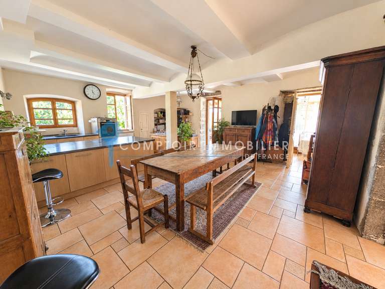 Maison Lavilledieu - 15 chambres - 530m²