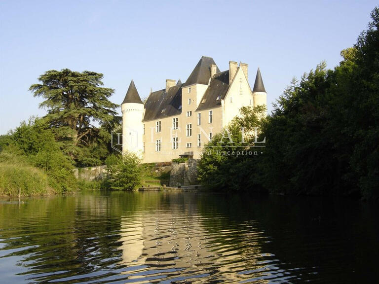 Sale Castle Le Blanc - 12 bedrooms