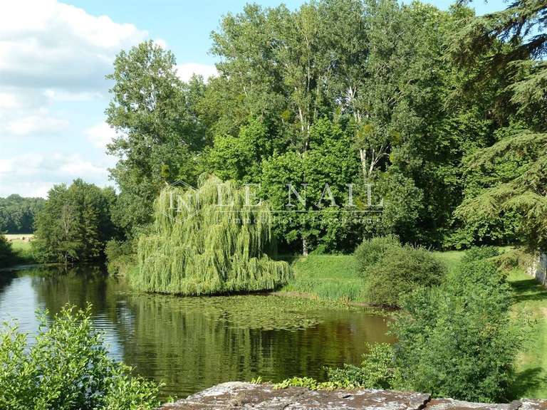 Castle Le Blanc - 12 bedrooms - 600m²