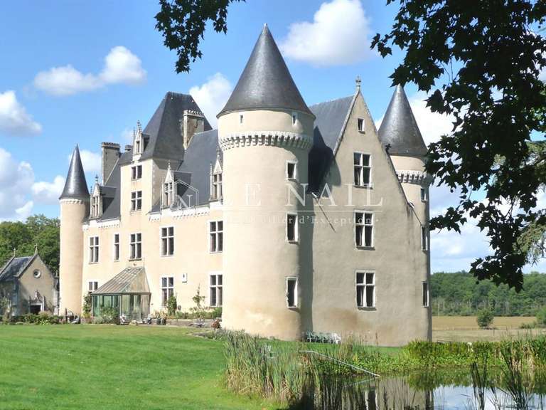 Castle Le Blanc - 12 bedrooms - 600m²