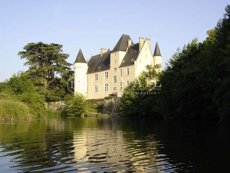 Castle Le Blanc - 12 bedrooms - 600m²