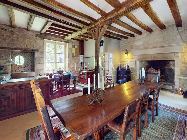 Castle Le Blanc - 6 bedrooms - 400m²