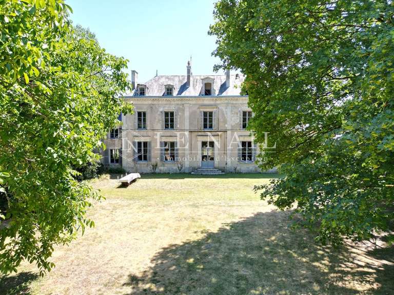 Castle Le Blanc - 6 bedrooms - 400m²