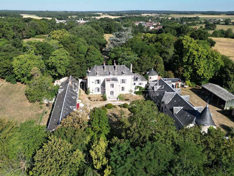 Castle Le Blanc - 6 bedrooms - 400m²