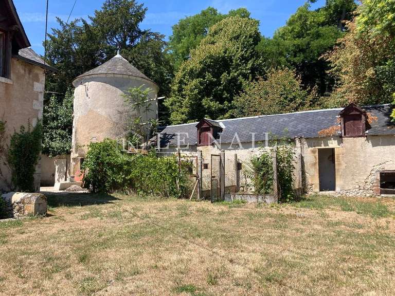 Castle Le Blanc - 6 bedrooms - 400m²