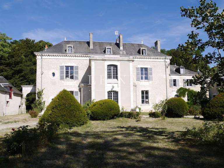 Castle Le Blanc - 6 bedrooms - 400m²
