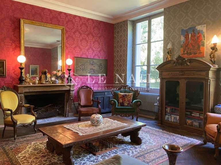 Castle Le Blanc - 6 bedrooms - 400m²