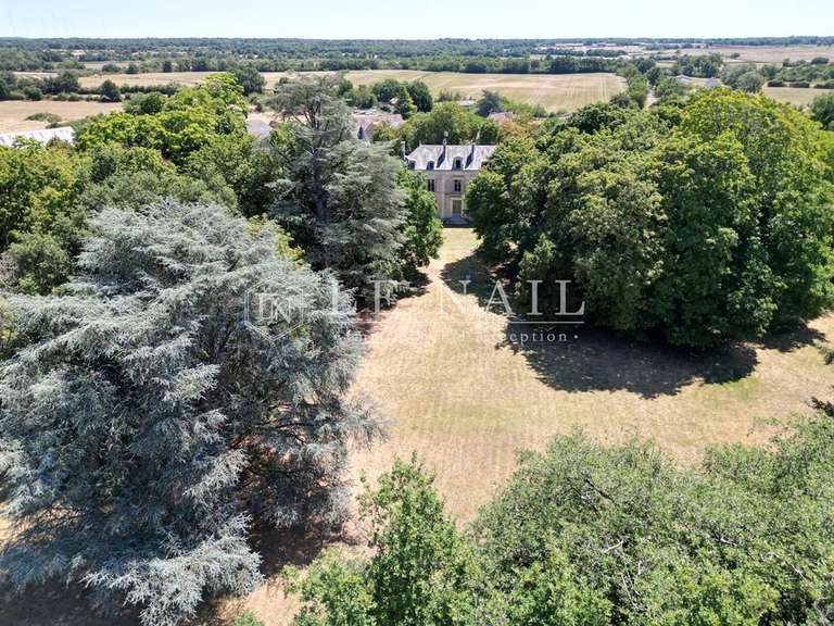 Castle Le Blanc - 6 bedrooms - 400m²