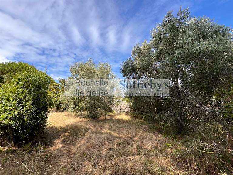 House Le Bois-Plage-en-Ré - 3 bedrooms - 138m²