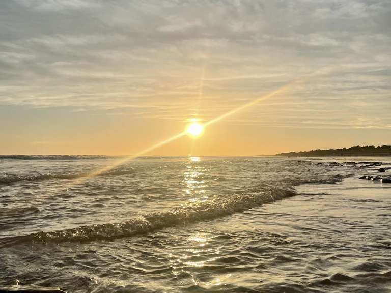 Maison Le Bois-Plage-en-Ré - 6 chambres - 247m²