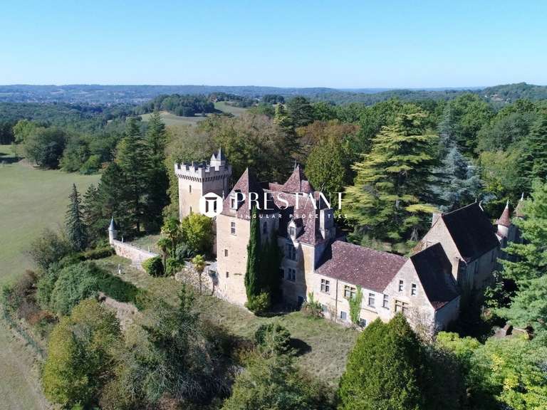 Château Le Bugue - 11 chambres - 1400m²