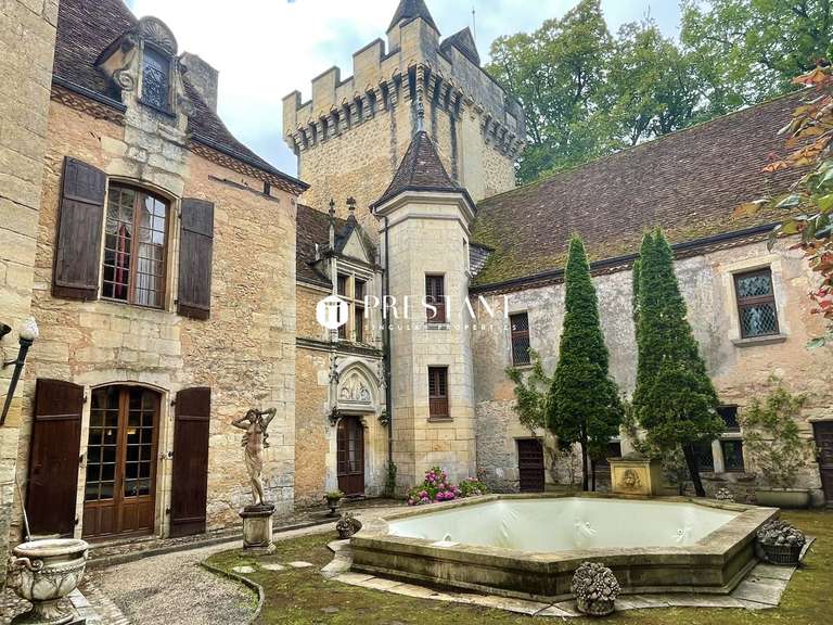 Château Le Bugue - 11 chambres - 1400m²