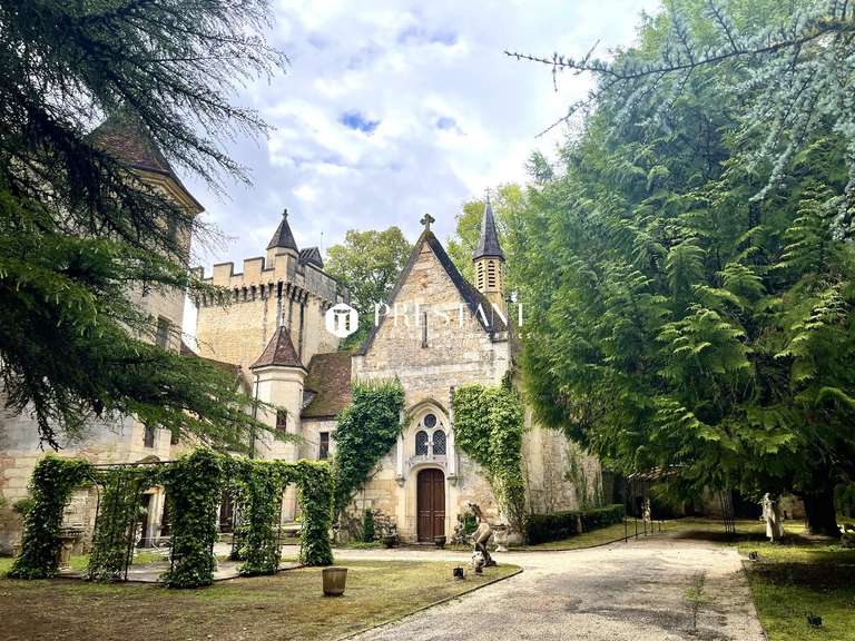 Château Le Bugue - 11 chambres - 1400m²