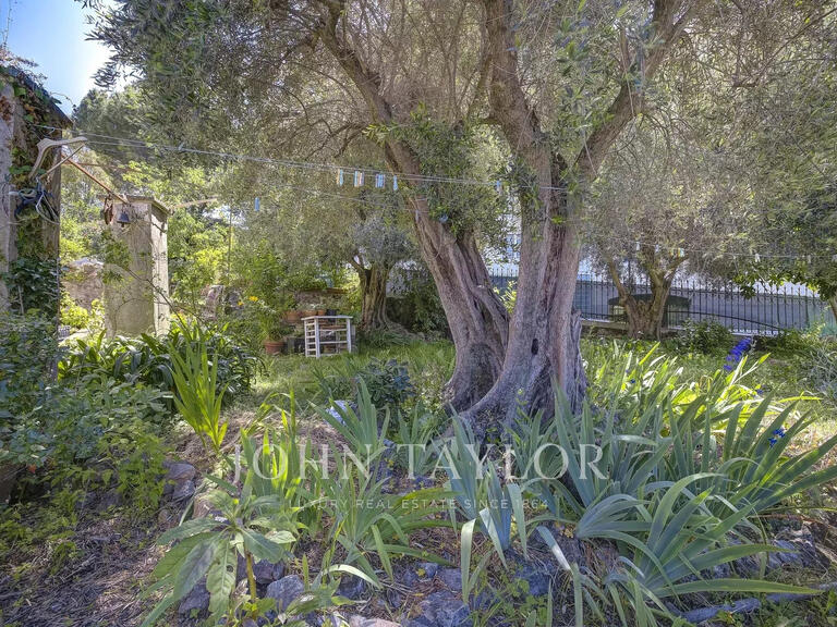 Maison Le Cannet - 285m²