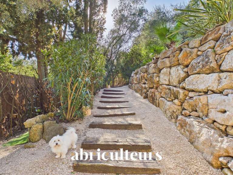 Maison Le Cannet - 4 chambres - 313m²