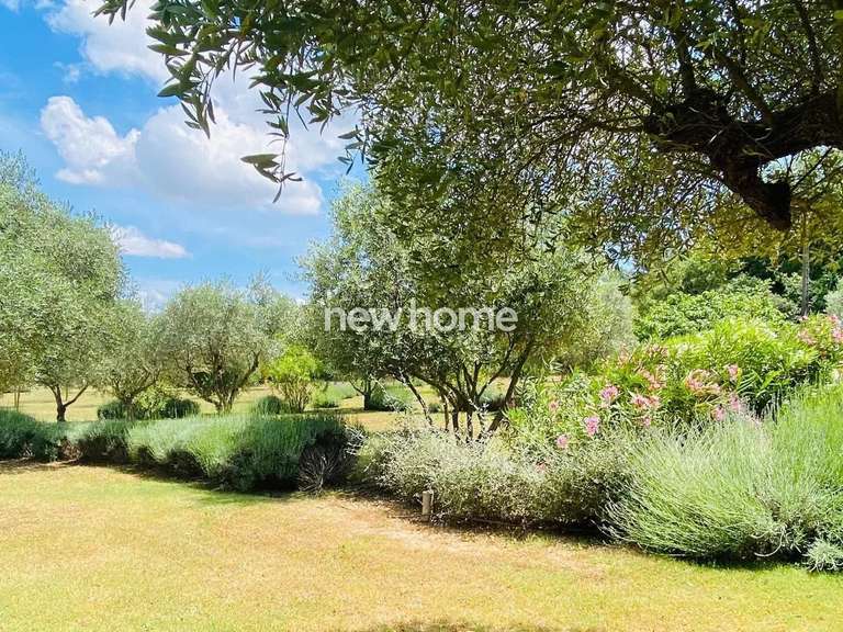 Maison Le Cannet-des-Maures - 4 chambres - 210m²