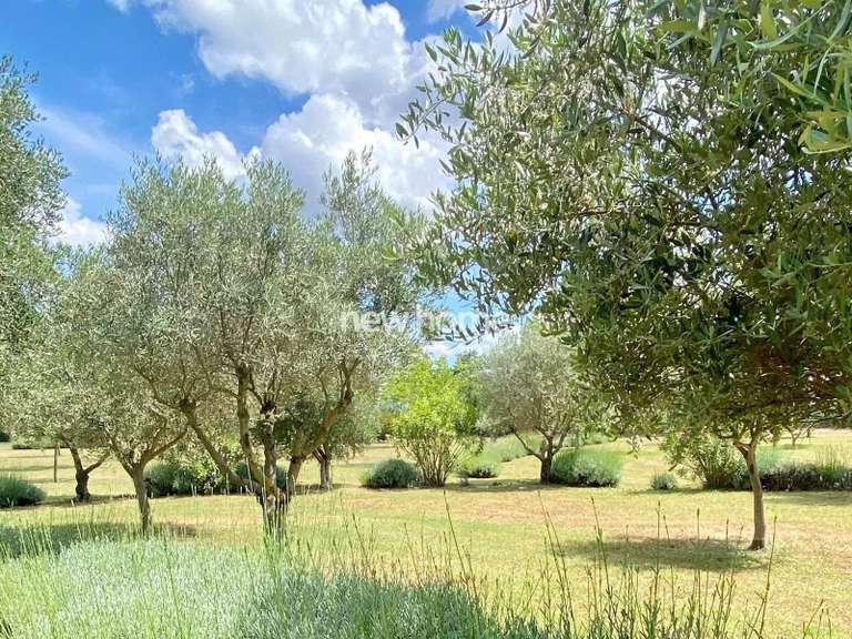 Maison Le Cannet-des-Maures - 4 chambres - 210m²