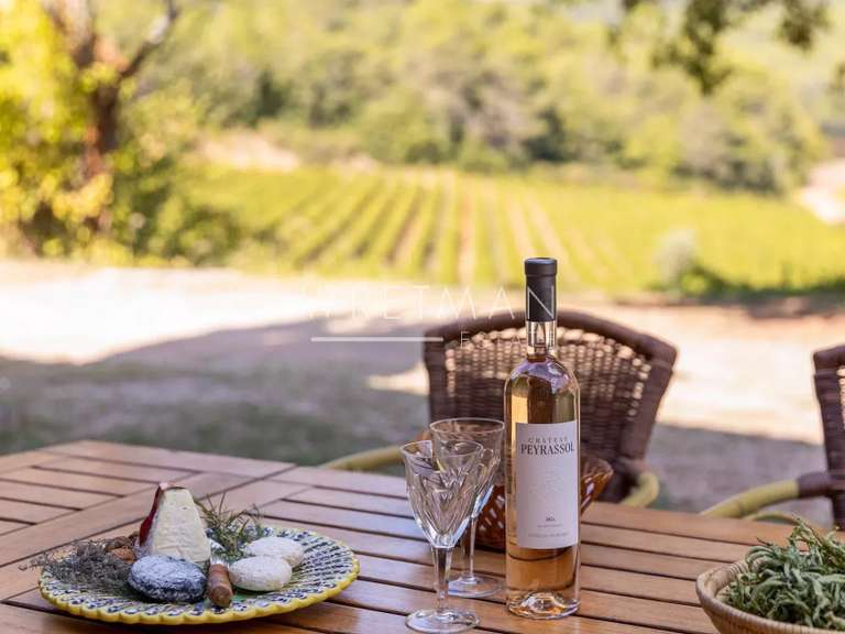 Property Le Cannet-des-Maures - 7 bedrooms - 605m²