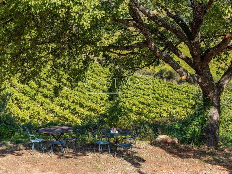 Property Le Cannet-des-Maures - 7 bedrooms - 605m²