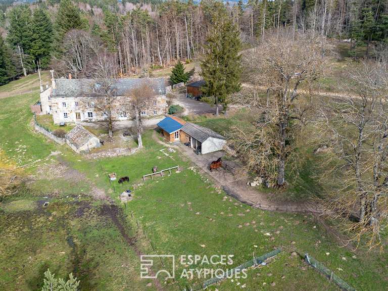 Maison Le Chambon-sur-Lignon - 11 chambres - 560m²