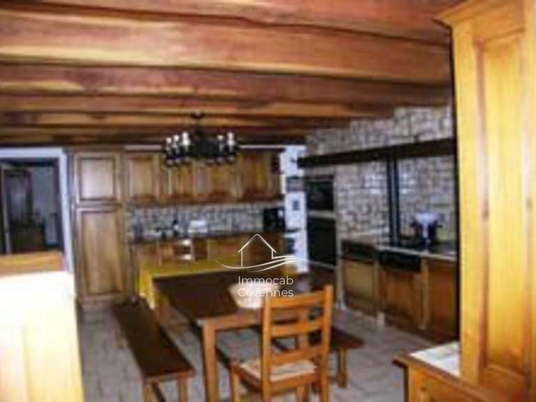 Villa Le Collet-de-Dèze - 5 chambres - 269m²