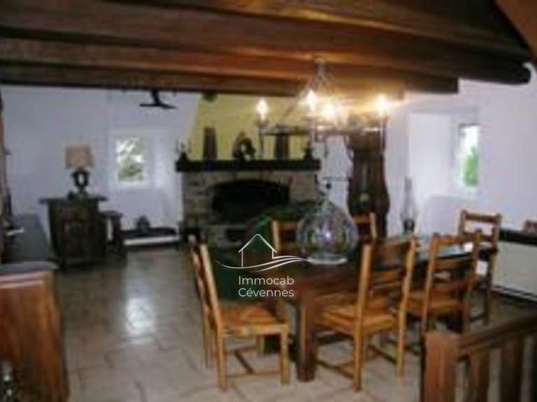 Villa Le Collet-de-Dèze - 5 chambres - 269m²