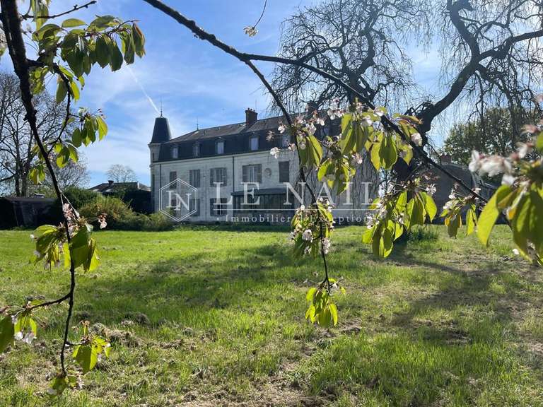 Château Le Coudray-Montceaux - 8 chambres - 500m²