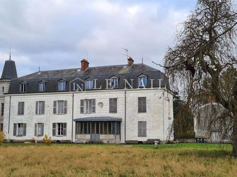 Castle Le Coudray-Montceaux - 8 bedrooms - 500m²