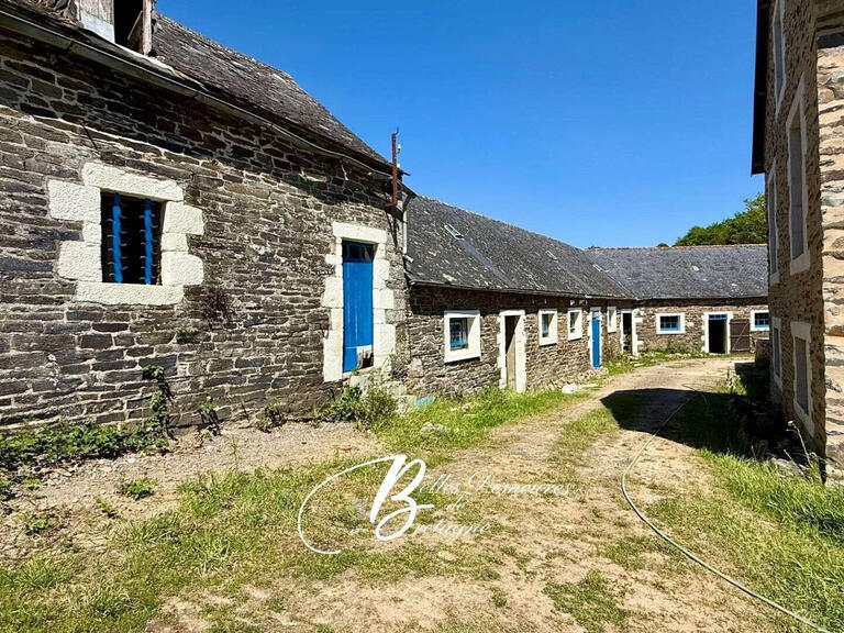 Maison Le Faou - 5 chambres