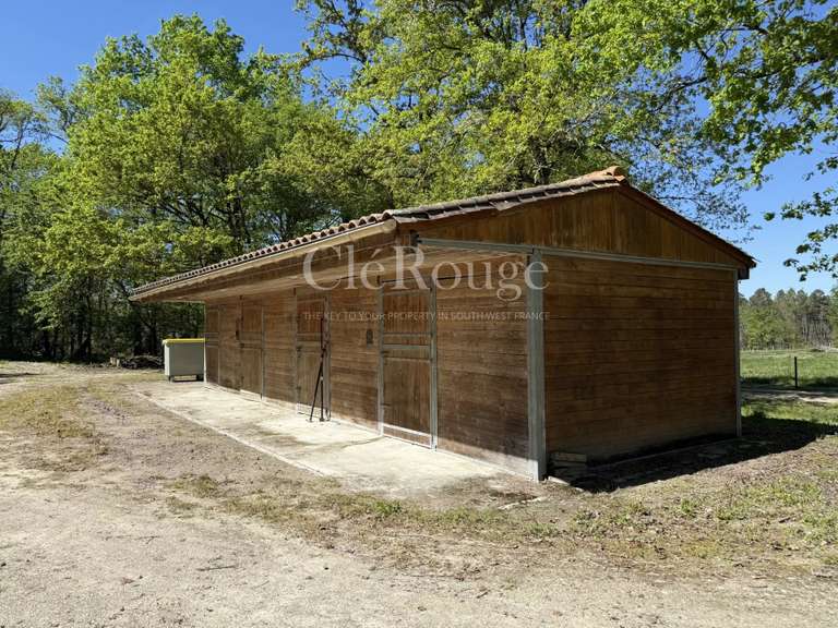 Maison Le Fleix - 7 chambres - 340m²