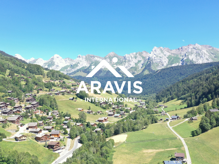 Apartment Le Grand-Bornand - 2 bedrooms - 65m²