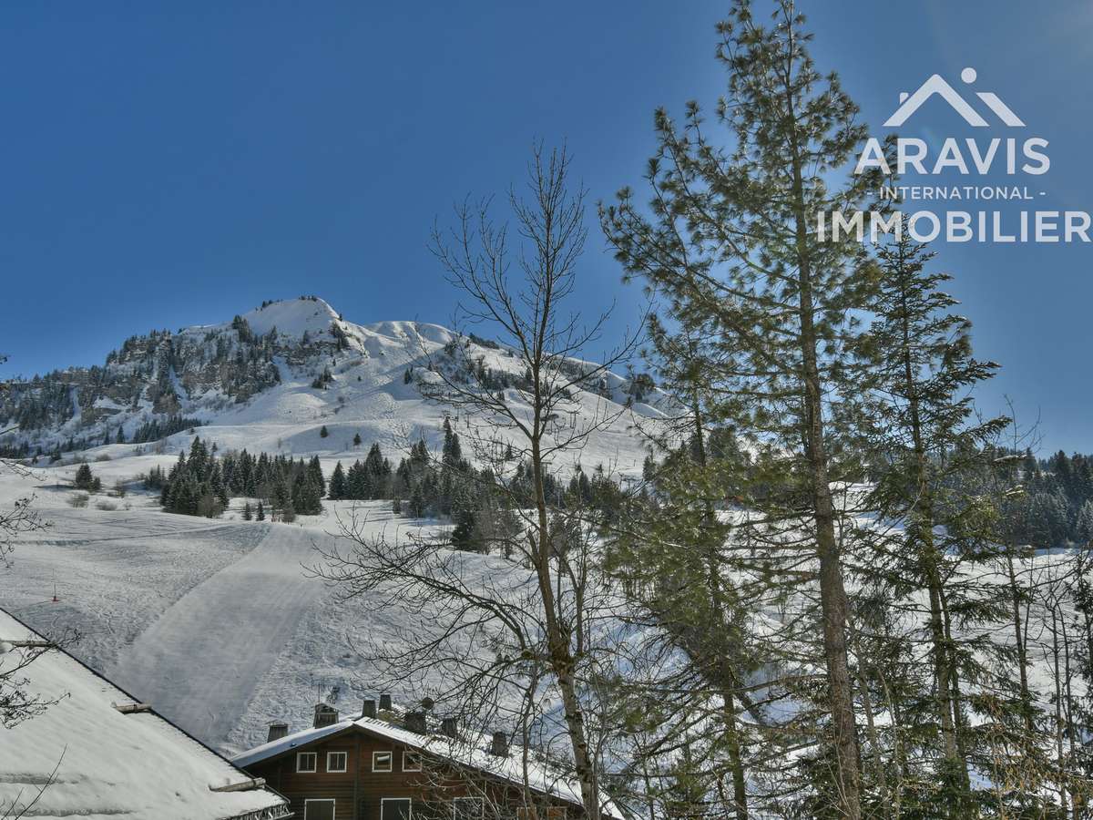 Apartment Le Grand-Bornand