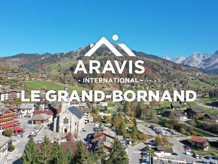 Appartement Le Grand-Bornand - 3 chambres - 69m²