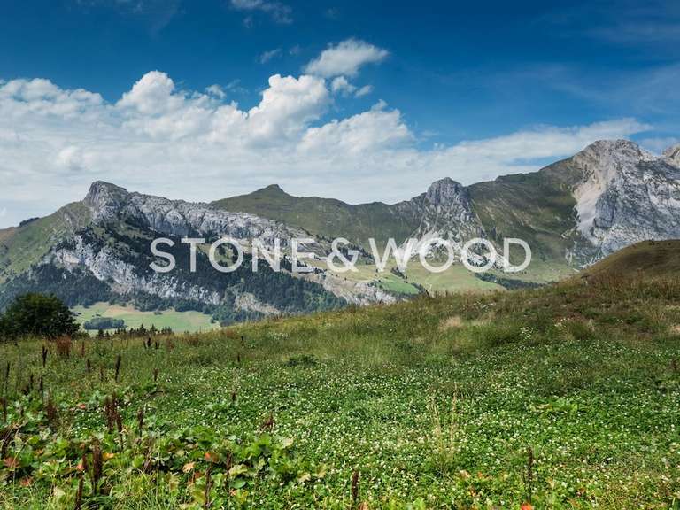 Maison Le Grand-Bornand - 1773m²