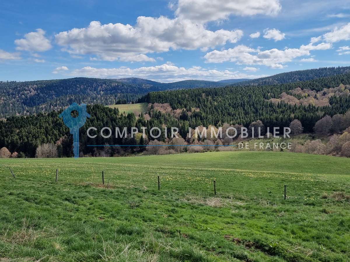 Maison Le Lac-d'Issarlès