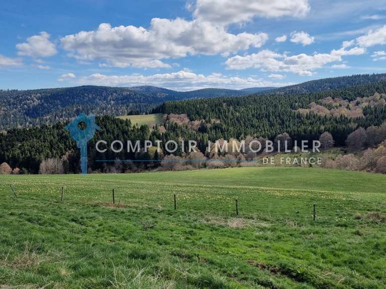 Maison Le Lac-d'Issarlès - 6 chambres - 280m²