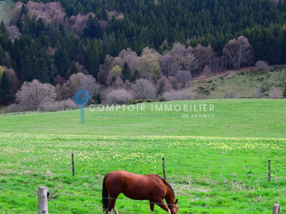 Maison Le Lac-d'Issarlès