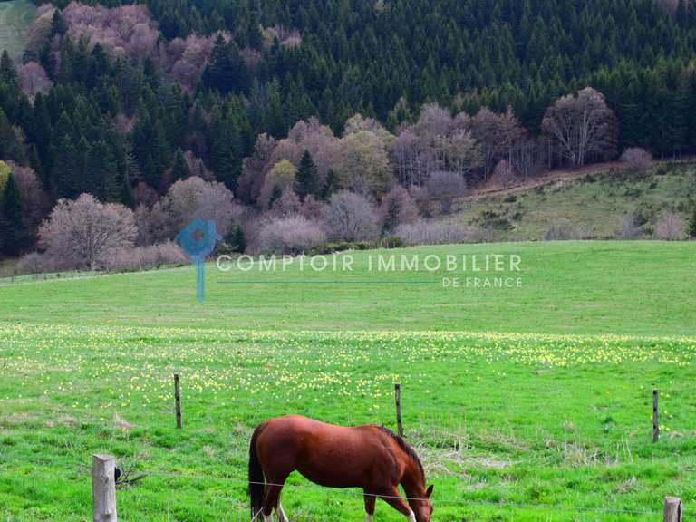 Maison Le Lac-d'Issarlès - 6 chambres - 280m²
